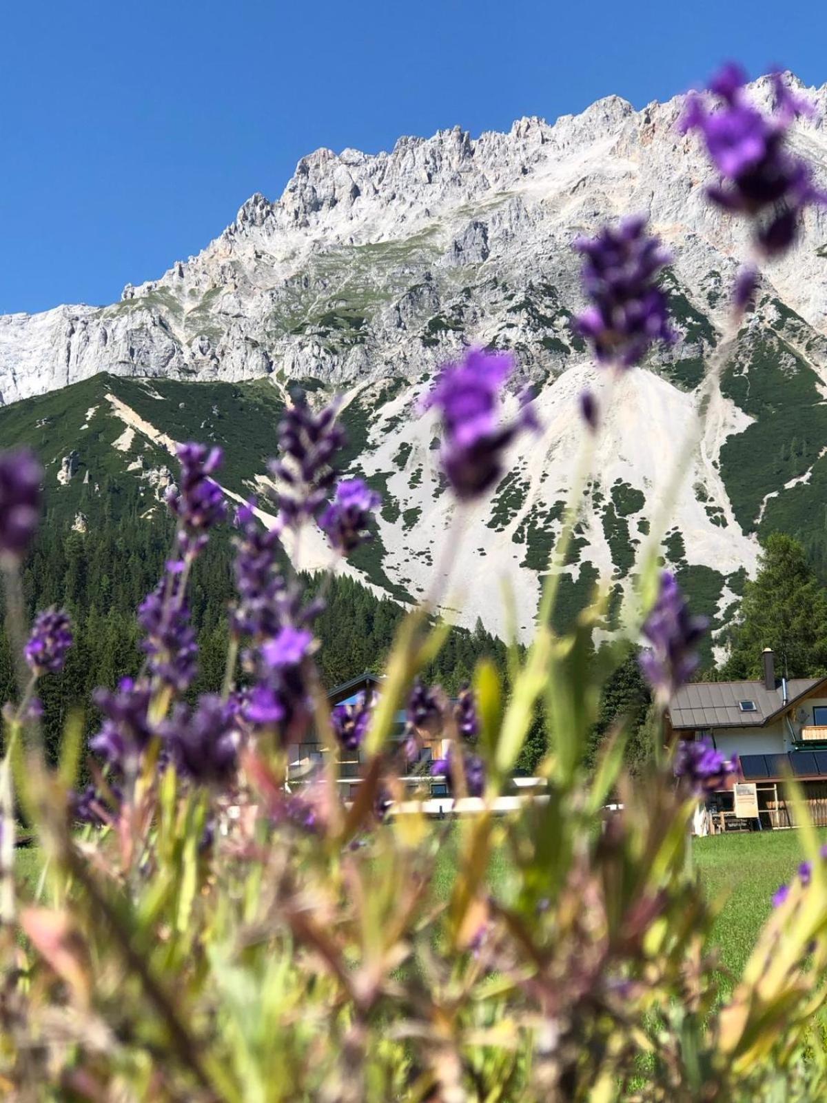 Club Villa Ramsau am Dachstein Exterior photo